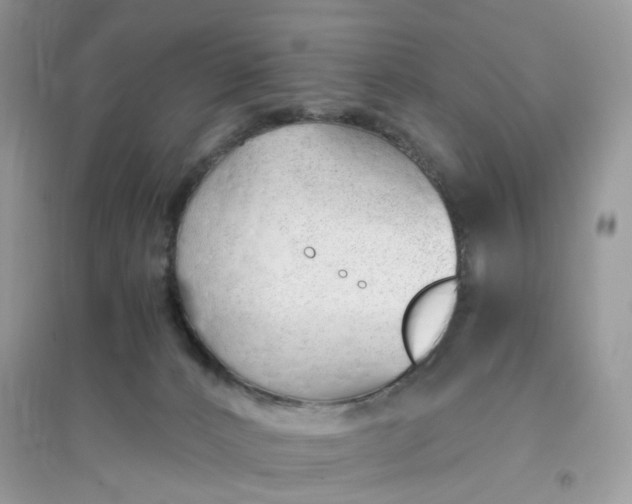 X0000096140032200802011220