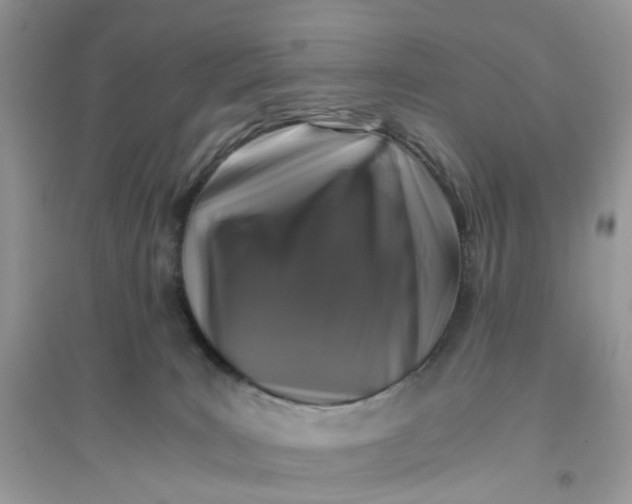 X0000096140035200802011220