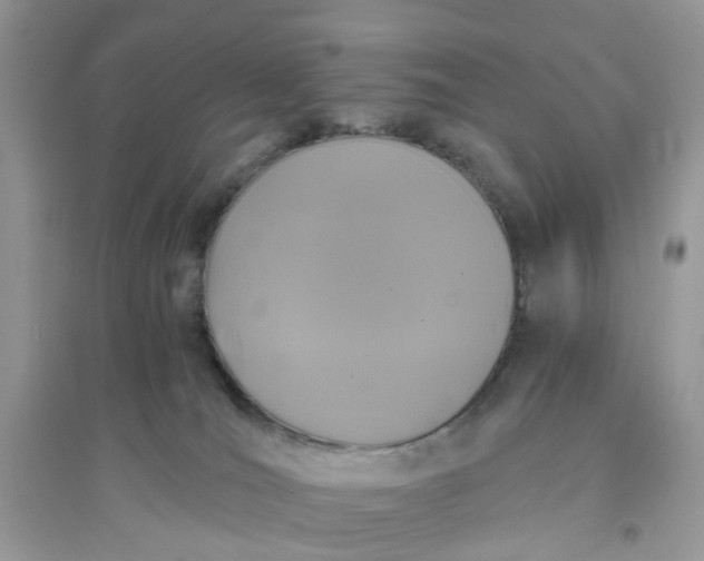 X0000096140036200802011220