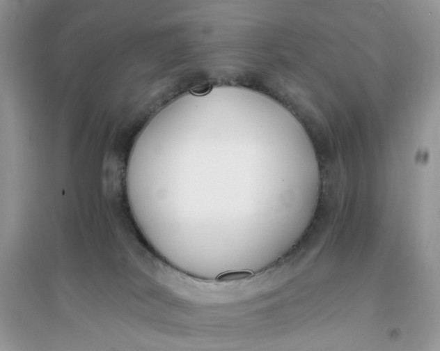 X0000096140038200802011220