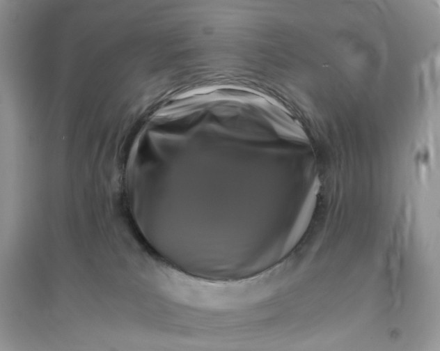 X0000096140039200802011220