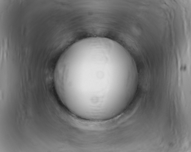X0000096140040200802011220