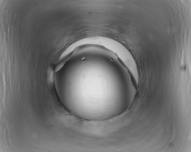 X0000096140041200802011220