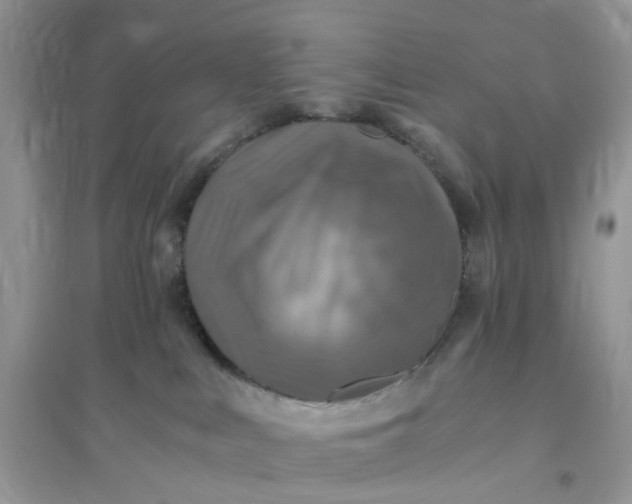 X0000096140043200802011220