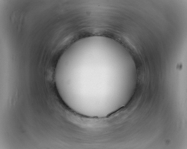 X0000096140044200802011220