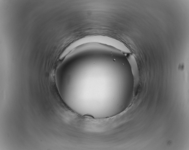 X0000096140045200802011220