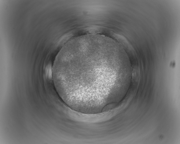 X0000096140046200802011220