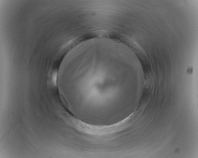 X0000096140047200802011220