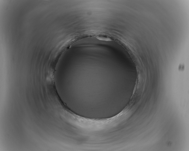 X0000096140048200802011220