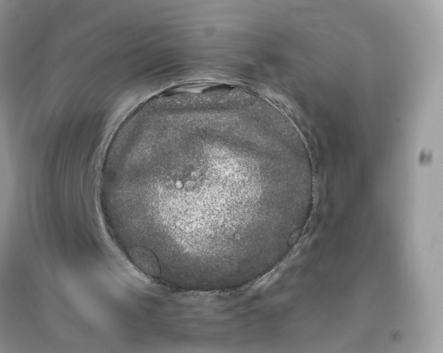 X0000096140049200802011219