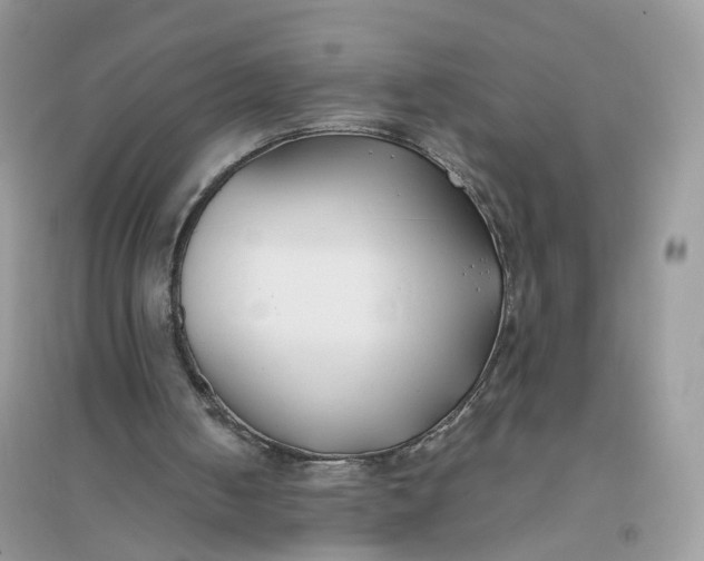 X0000096140050200802011219