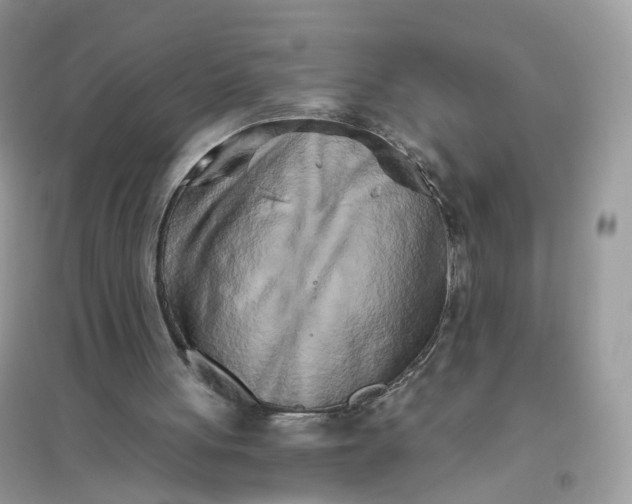 X0000096140051200802011220