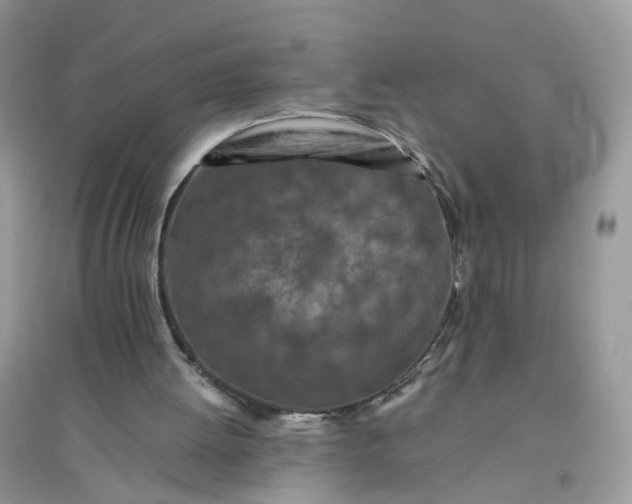 X0000096140052200802011220