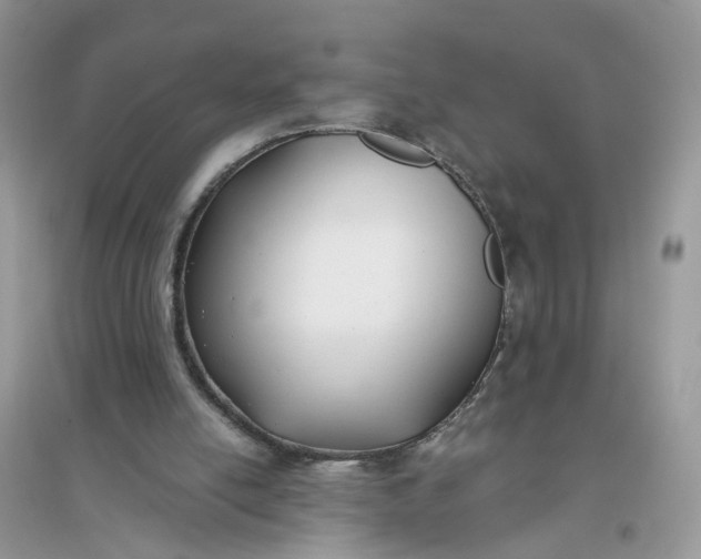 X0000096140054200802011220