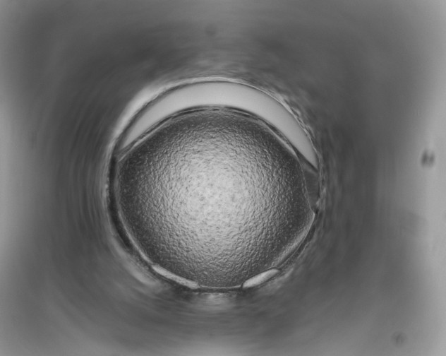 X0000096140056200802011220