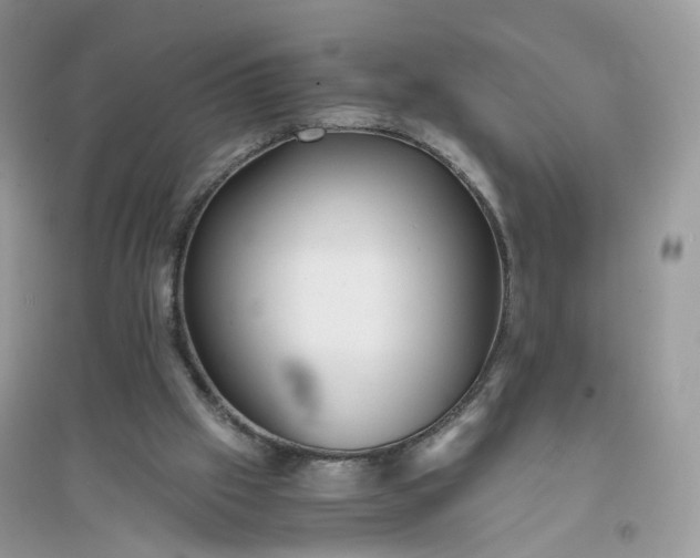 X0000096140057200802011220