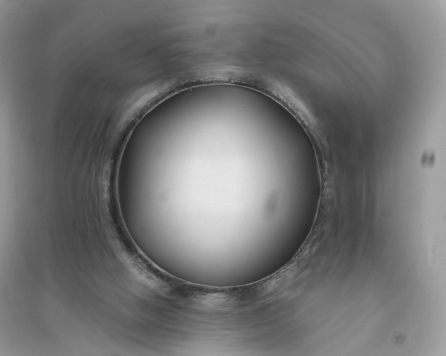 X0000096140058200802011220