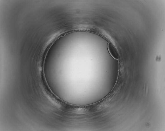 X0000096140059200802011220