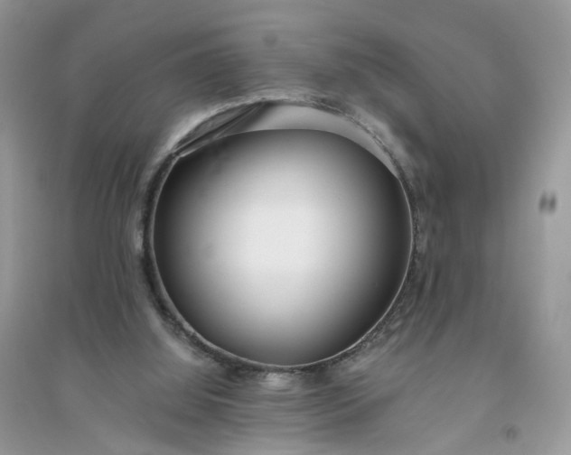 X0000096140060200802011220