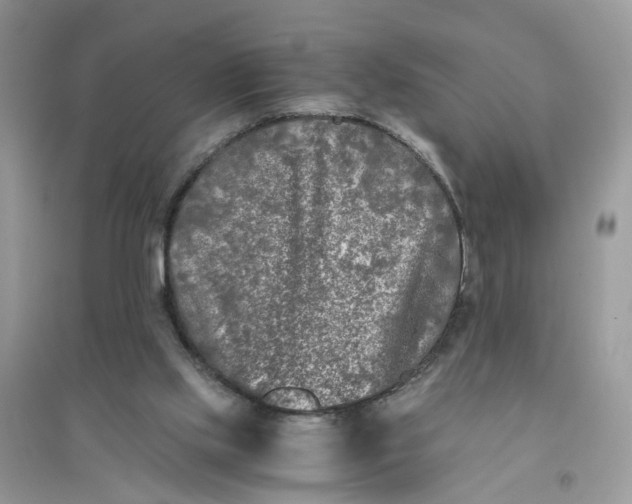 X0000096140061200802011220