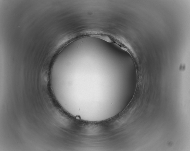 X0000096140063200802011220