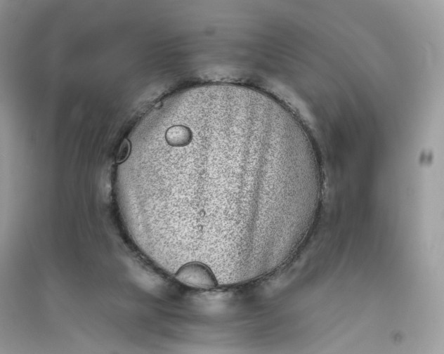 X0000096140065200802011220