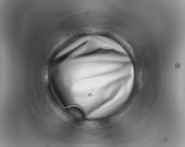 X0000096140067200802011220