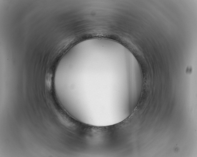 X0000096140070200802011220