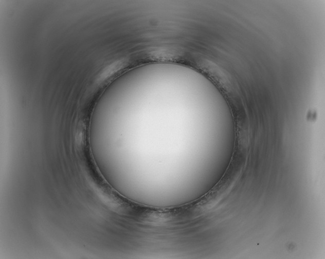 X0000096140071200802011220