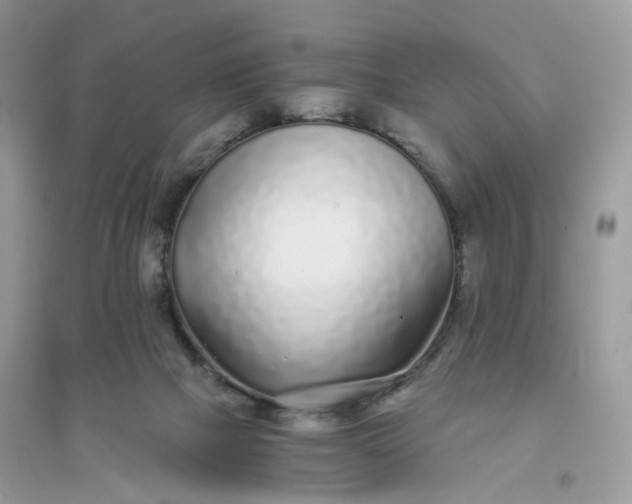 X0000096140073200802011220