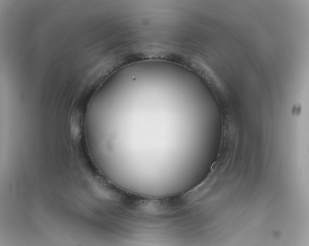 X0000096140074200802011220