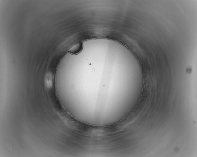 X0000096140075200802011220