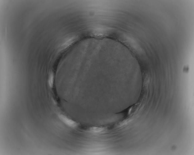 X0000096140076200802011220