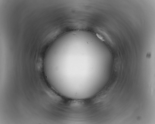 X0000096140077200802011220