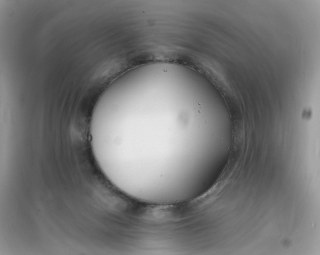 X0000096140078200802011220