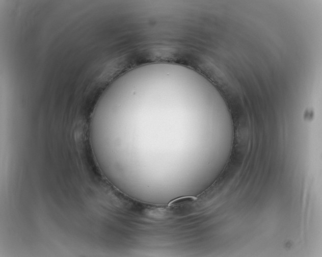 X0000096140079200802011220
