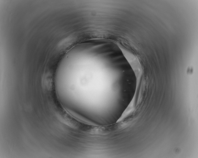 X0000096140080200802011220