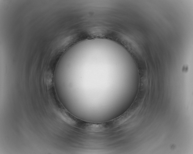 X0000096140081200802011220