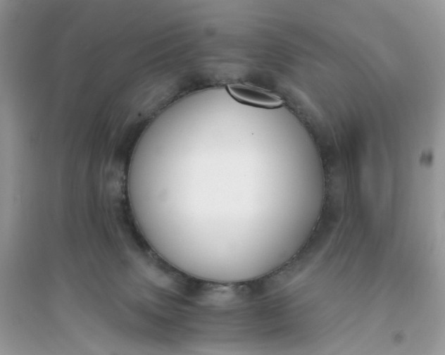 X0000096140083200802011220