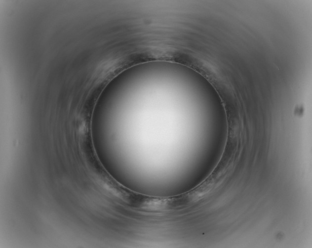 X0000096140084200802011220