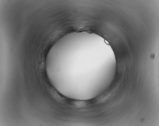 X0000096140085200802011220