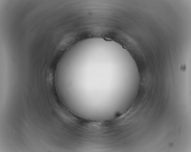 X0000096140086200802011220