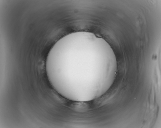 X0000096140087200802011220