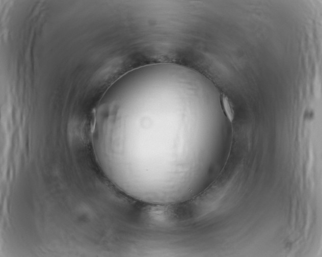 X0000096140088200802011220