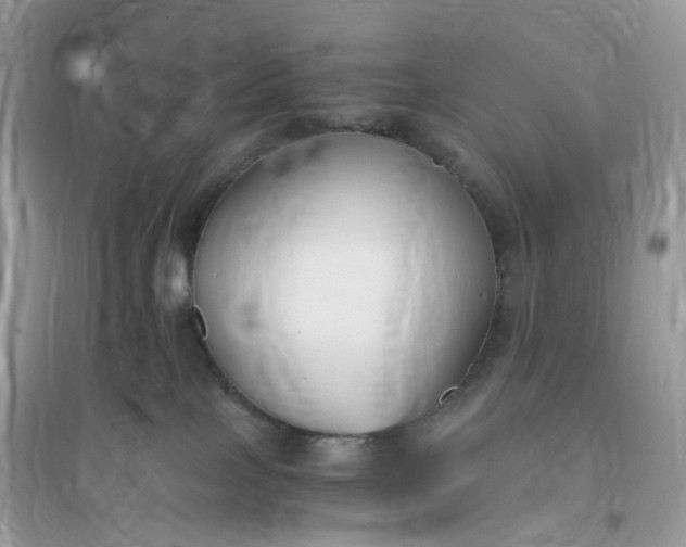 X0000096140089200802011220