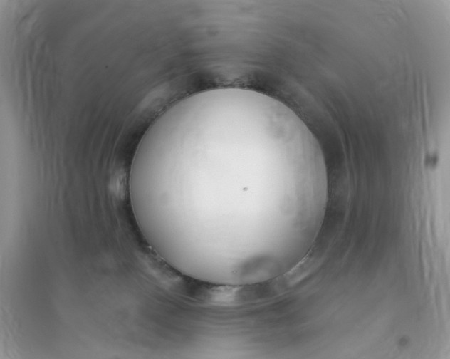 X0000096140090200802011220