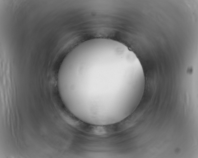 X0000096140091200802011220