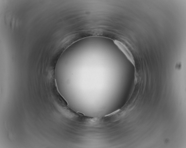 X0000096140092200802011220