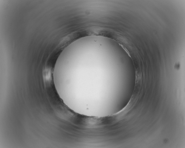 X0000096140094200802011220