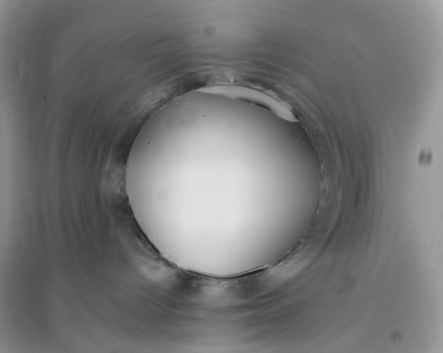 X0000096140096200802011220